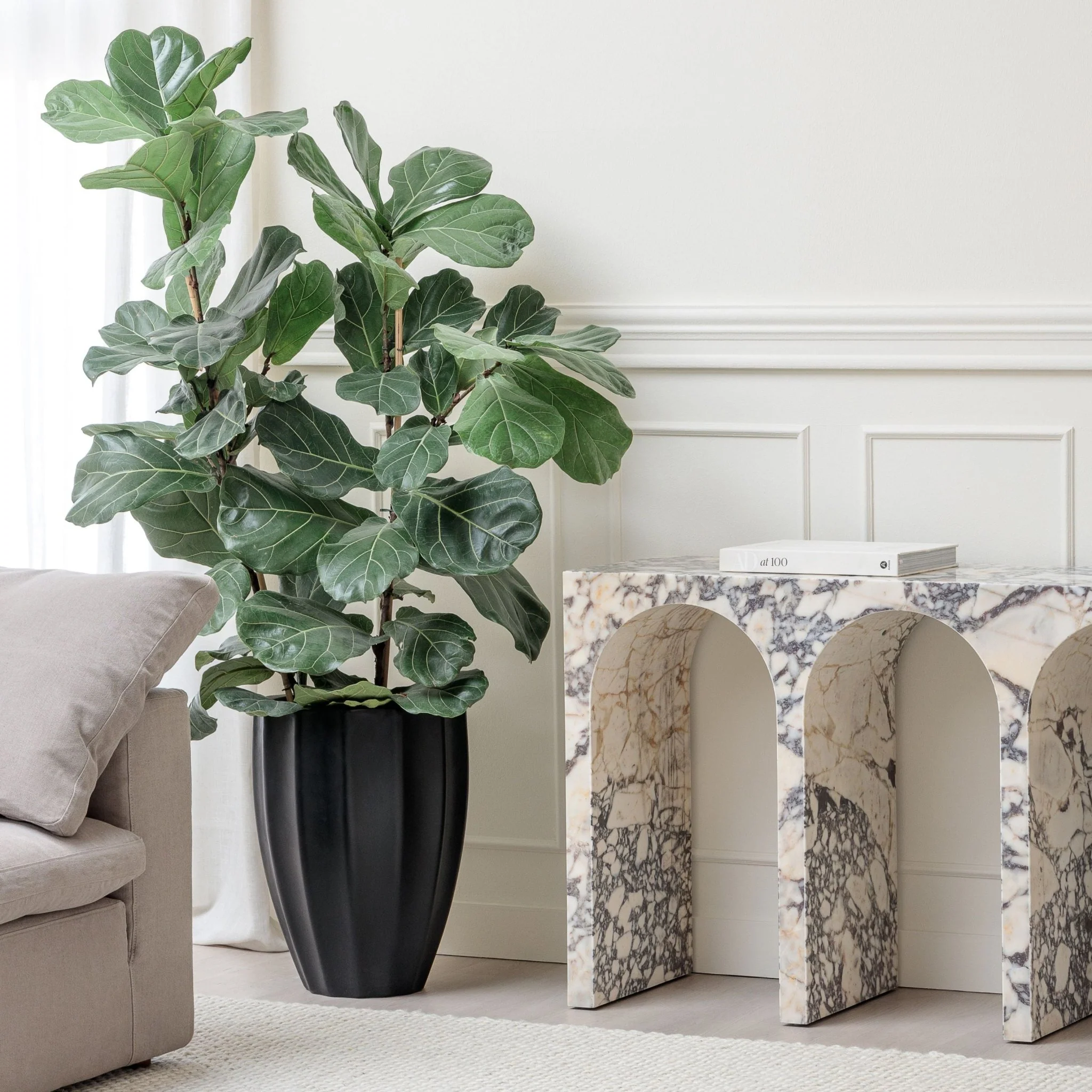 Maven Planter - Black - Image 11