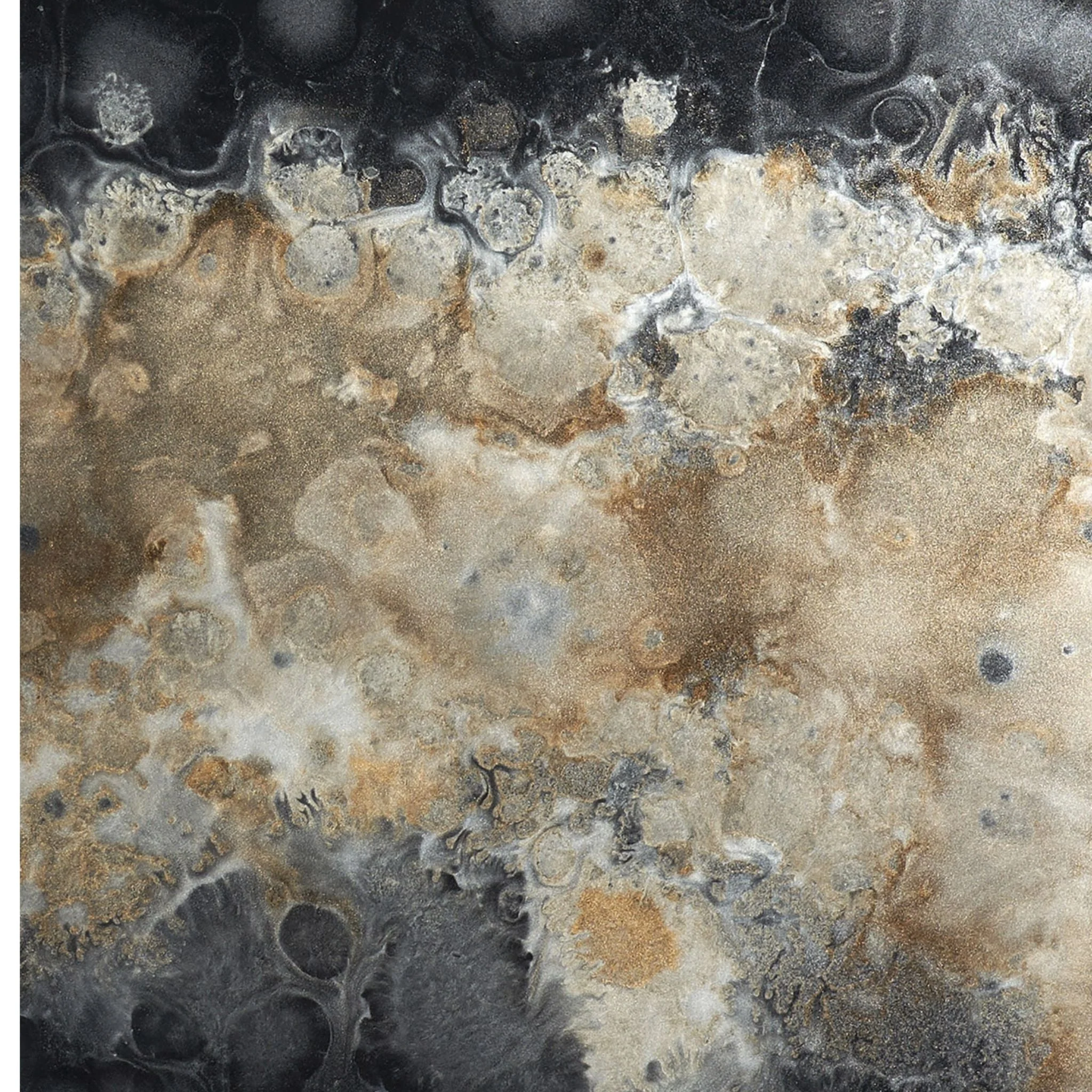 Organic Glass Tray - Black - Image 5
