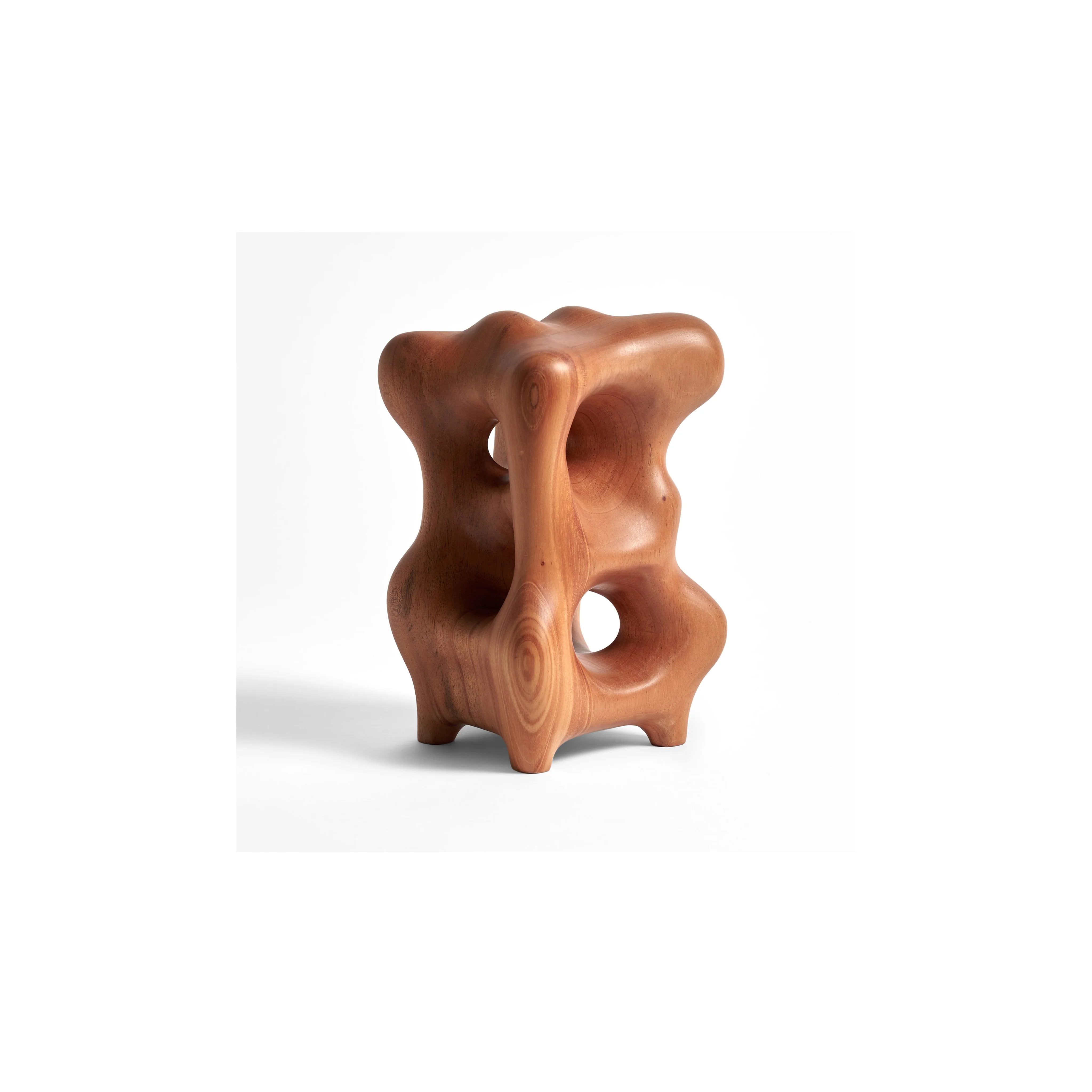 Organic Sculpture - Varnished Mahogany - Image 4