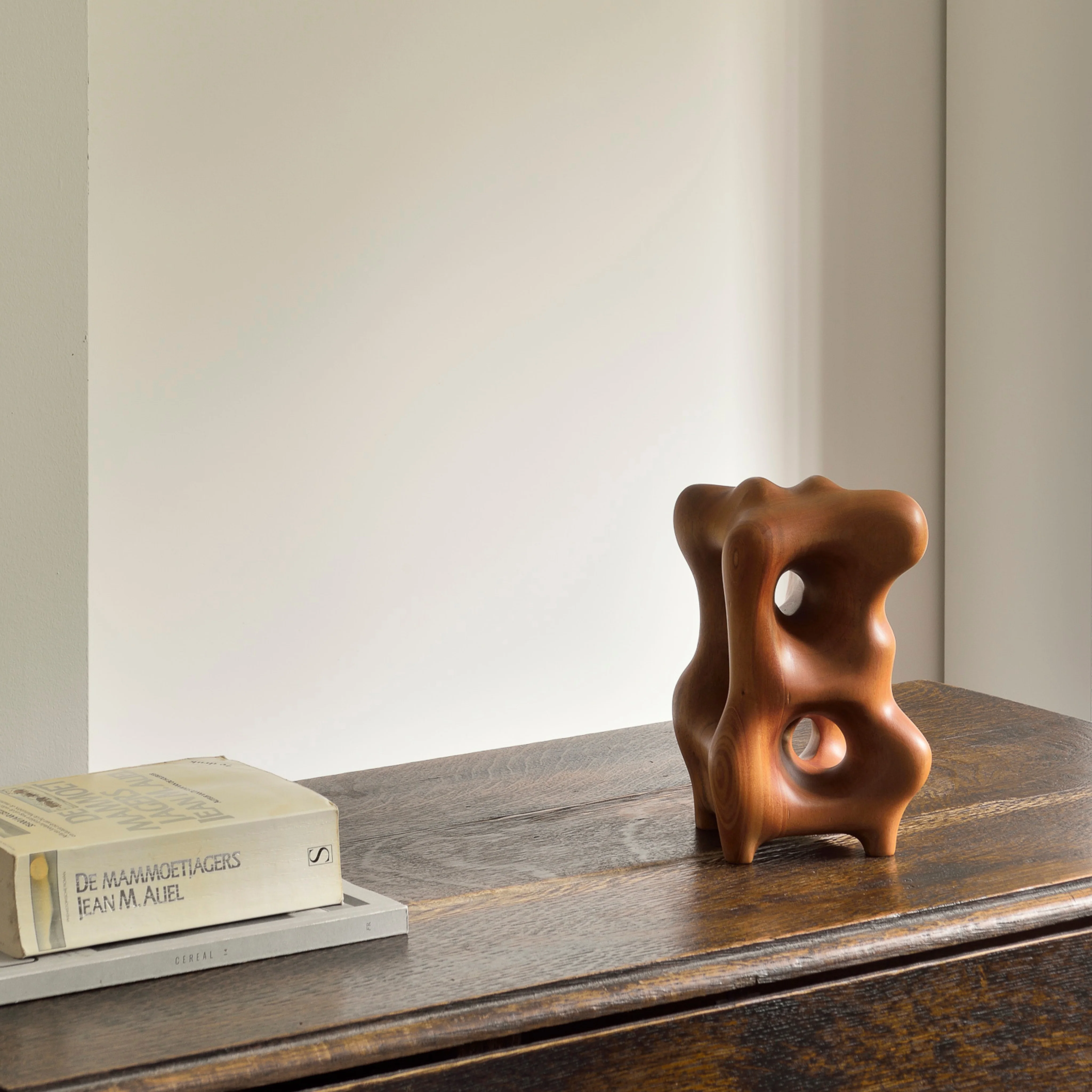 Organic Sculpture - Varnished Mahogany - Image 5