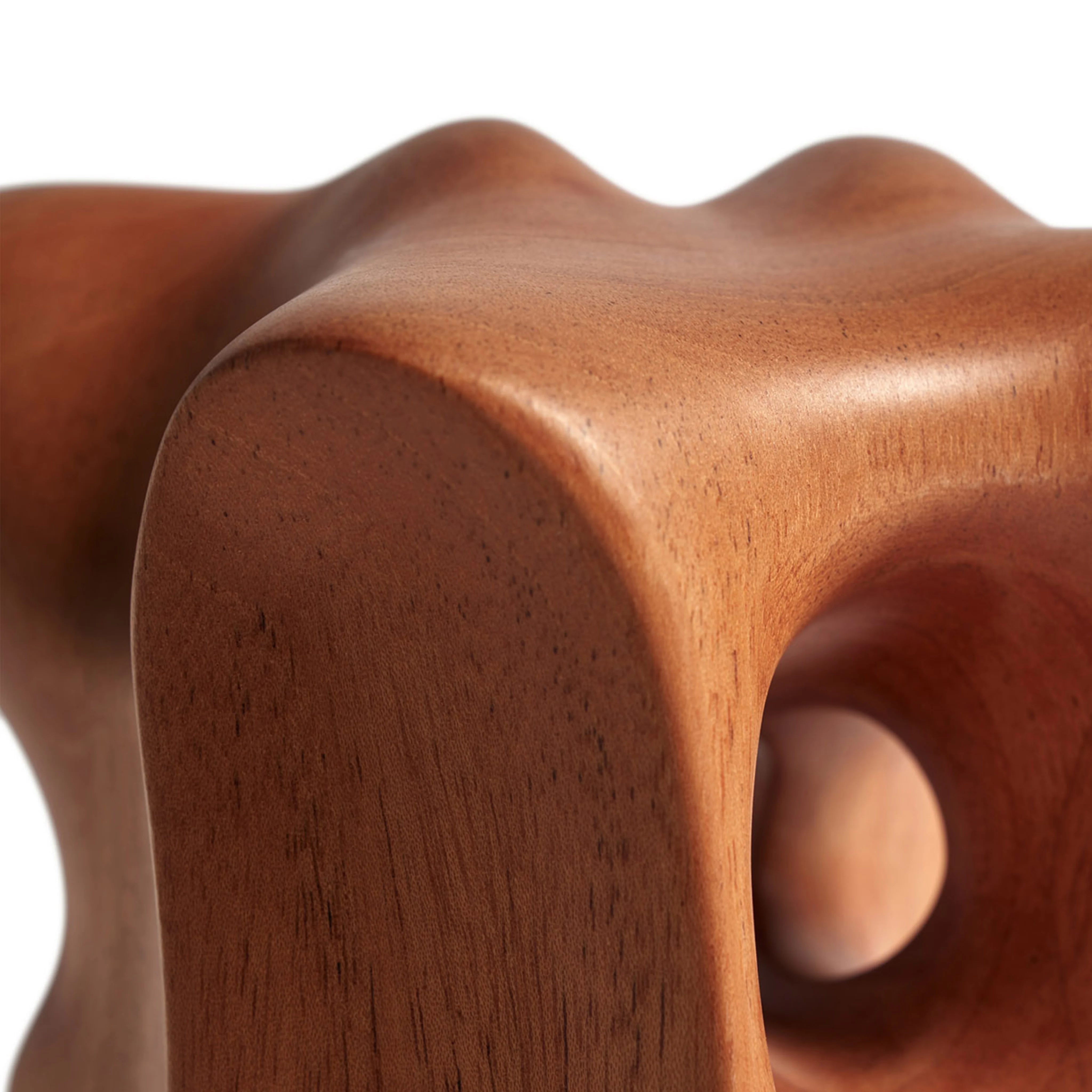 Organic Sculpture - Varnished Mahogany - Image 6