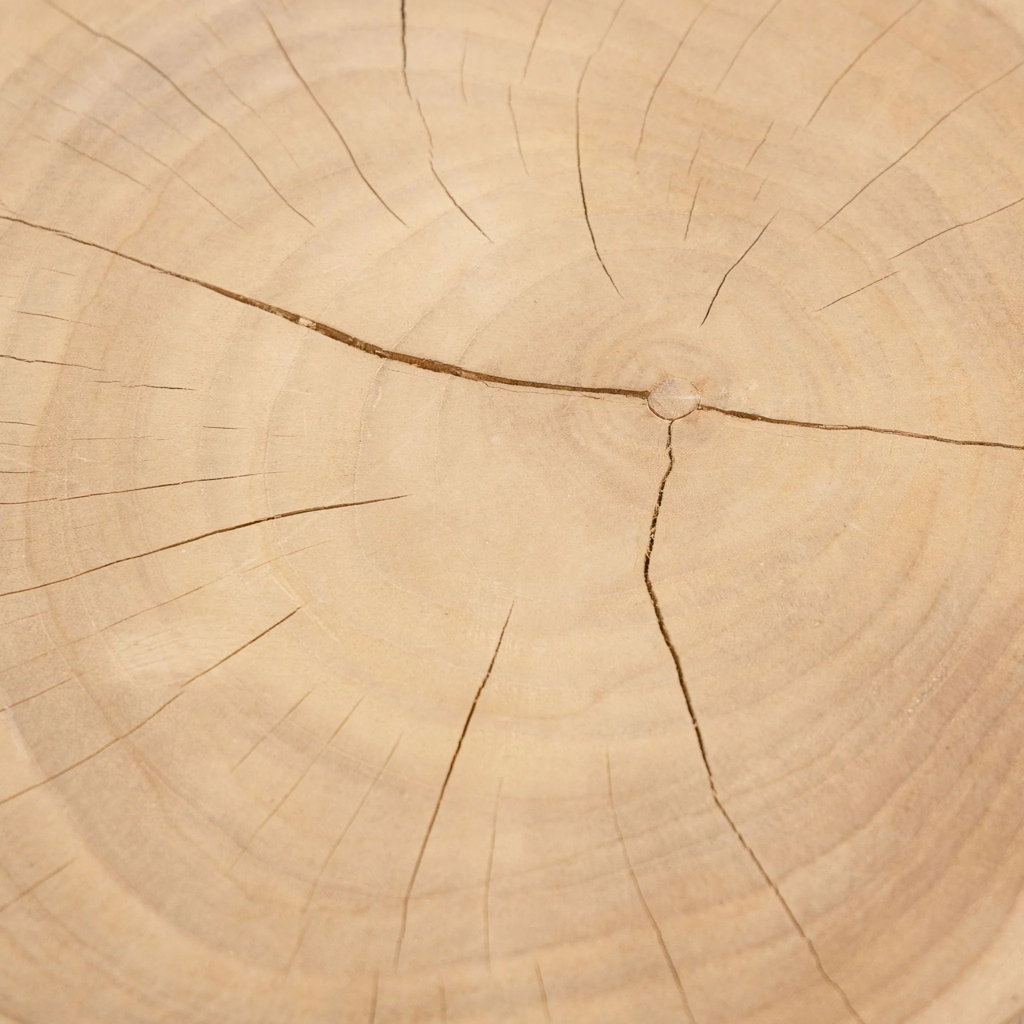 Sacha Stool - Natural - Image 8