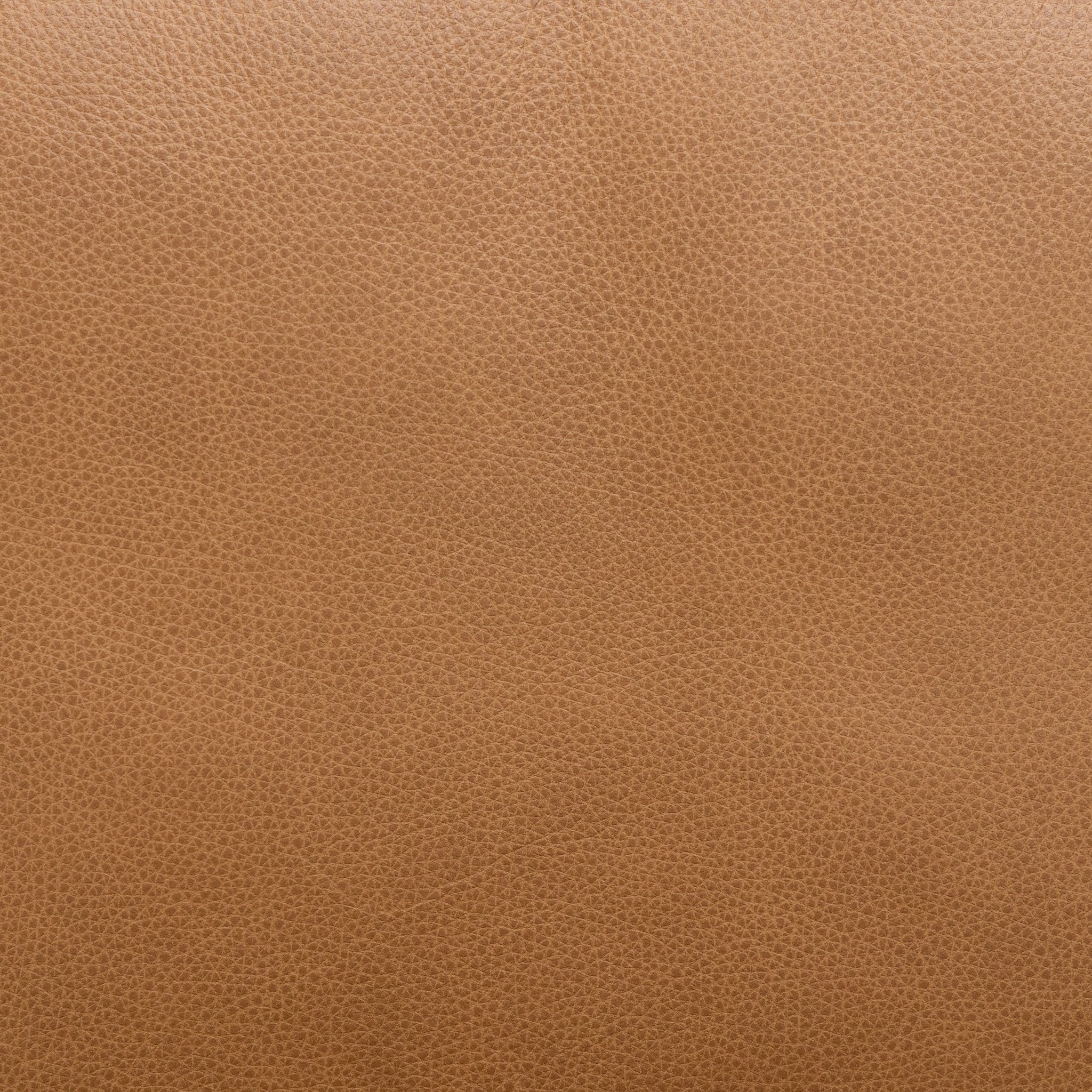 Troubadour Chair - Light Oak & Pecan Leather - Image 9